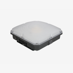Bright LED TX industrial brown canopy light illuminating a commercial parking garage structure.