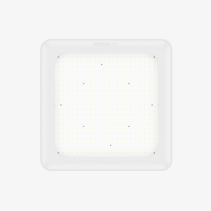 High power 240W wattage selectable commercial LED canopy light fixture in 4000K cool white by Bright LED TX.